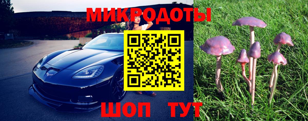 Псилоцибиновые грибы прущие грибы  Вход с VPN  Рассказово  где найти наркотики  Галлюциногенные грибы Cubensis 