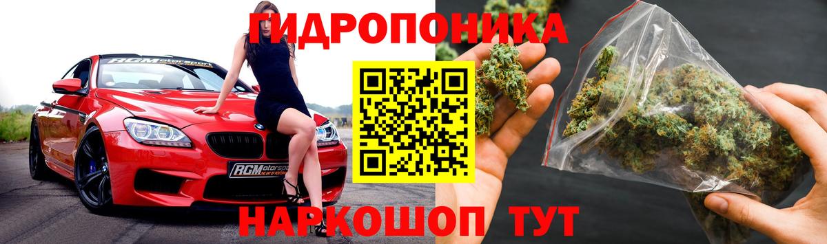 Бошки Шишки семена Рассказово